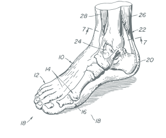 Biomechanics